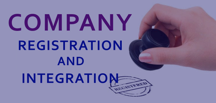 LLC Registration And E-Commerce Integration Down Payment